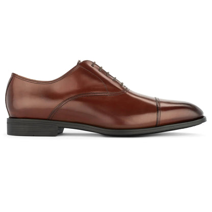 Dale Cognac Calf Leather Cap Toe Oxford - To Boot New York