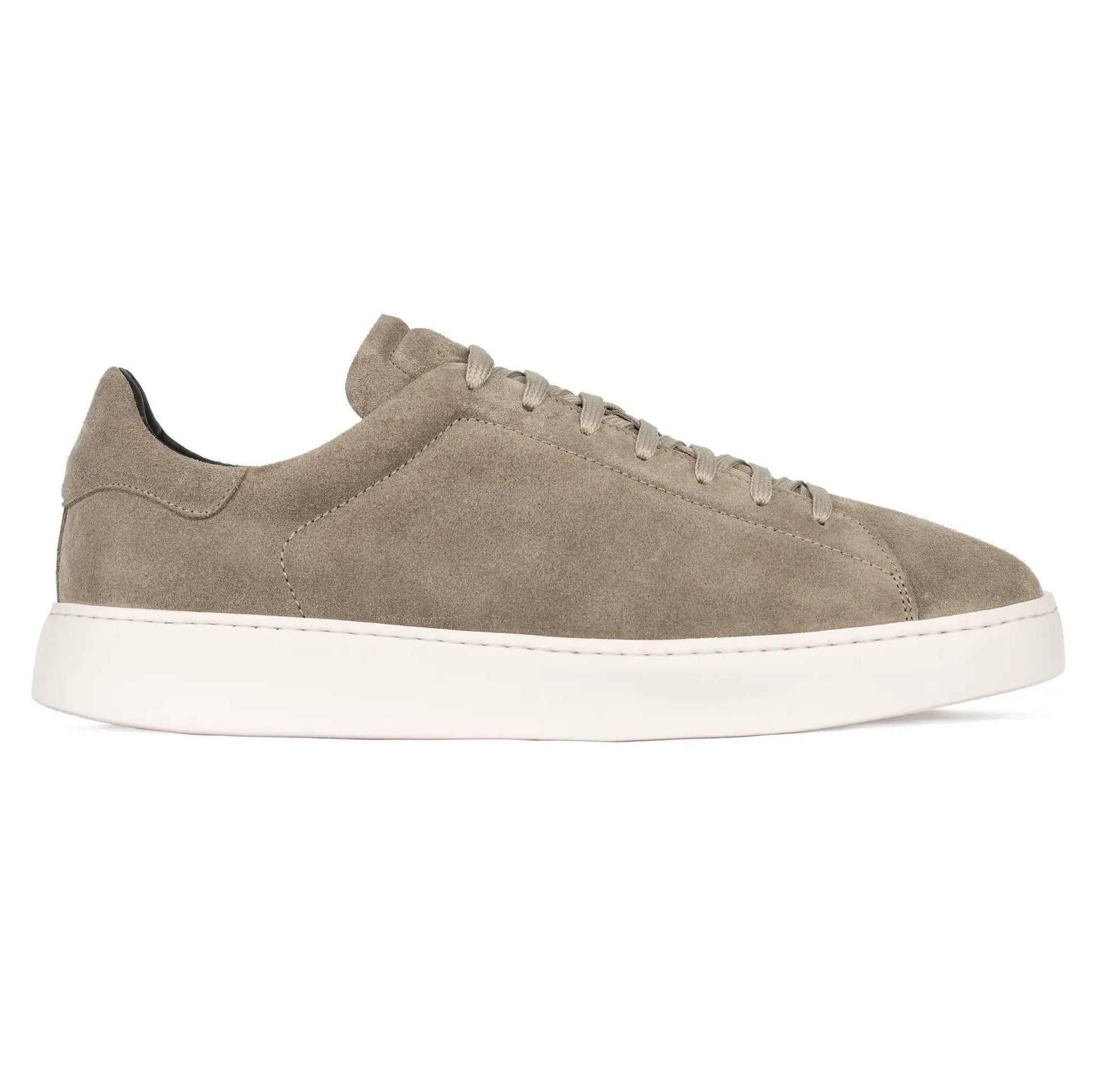 Buddy Taupe Suede Sneaker - To Boot New York