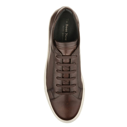 Pescara Dark Brown Calf Sneaker - To Boot New York